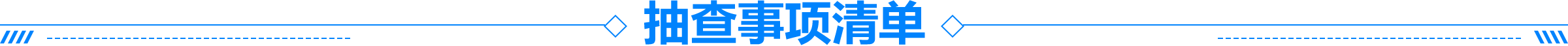 抽查事项清单