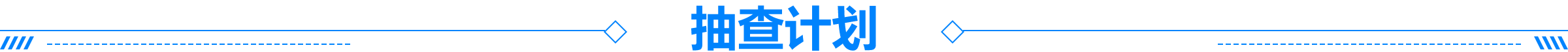 抽查计划