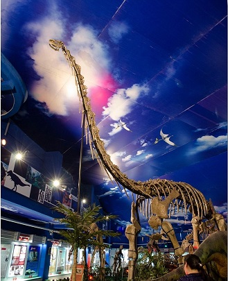 1恐龙博物馆.jpg
