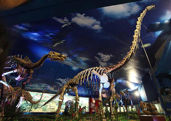 W020231019347639169552 副本.jpg