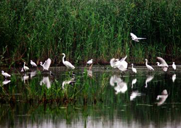 W020231019344521271781 副本.jpg